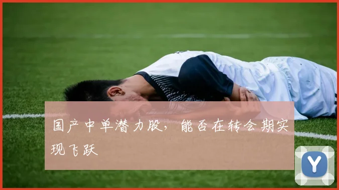 国产中单潜力股，能否在转会期实现飞跃
