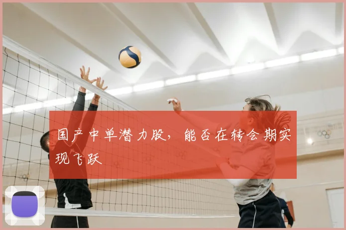 国产中单潜力股，能否在转会期实现飞跃